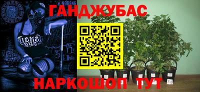 a pvp Гусиноозёрск
