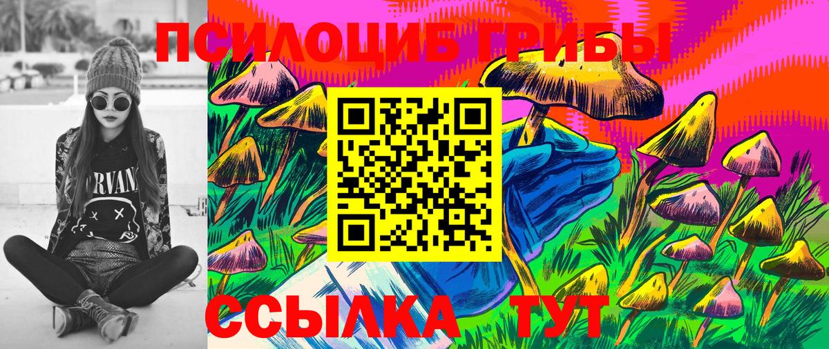 наркота  Галлюциногенные грибы мицелий  Псилоцибиновые грибы Psilocybine cubensis  Вход с VPN  Ковров 